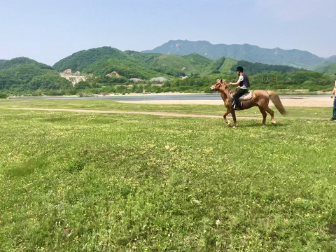 草海策马