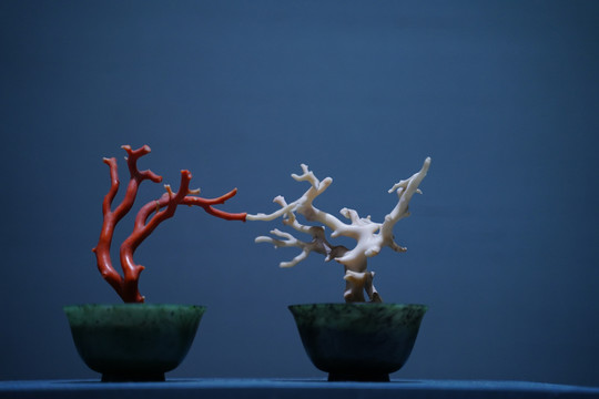 和田玉珊瑚
