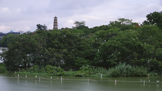 惠州西湖风景