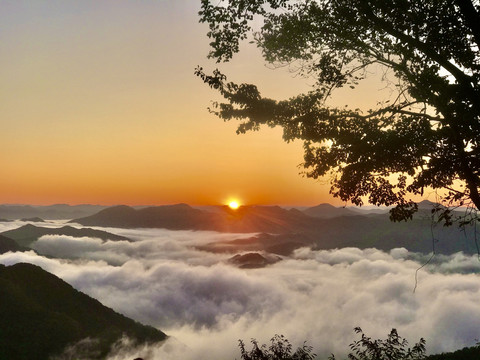 万丈光芒染云海