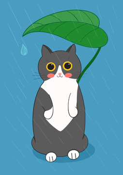 躲雨的猫咪