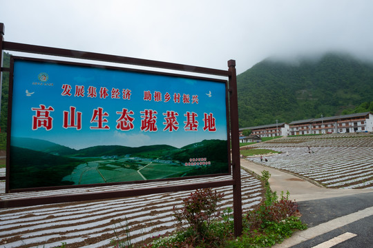 竹贤乡石院村高山生态蔬菜基地