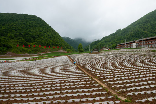 竹贤乡石院村高山生态蔬菜基地