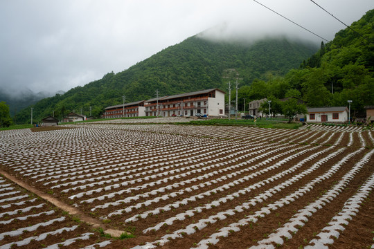 竹贤乡石院村高山生态蔬菜基地