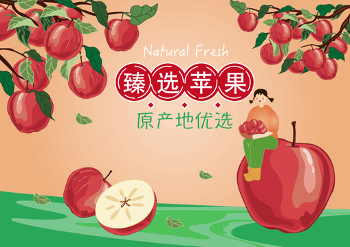 蘋果包裝插畫設(shè)計(jì)