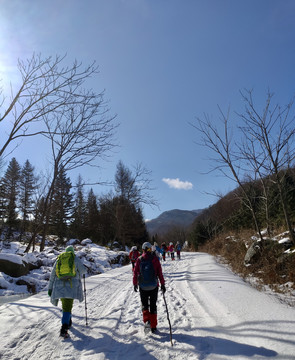 雪路行迹入寒山