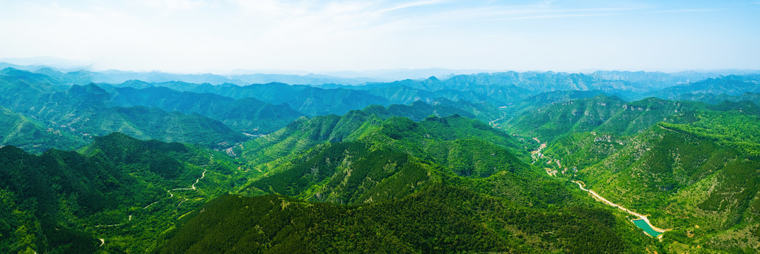 青山