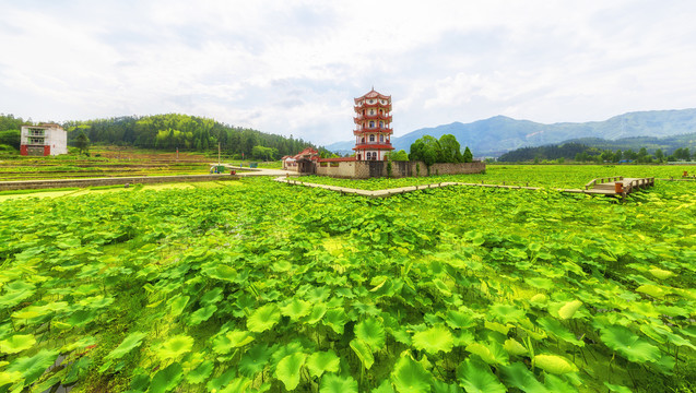 福建周宁宝塔