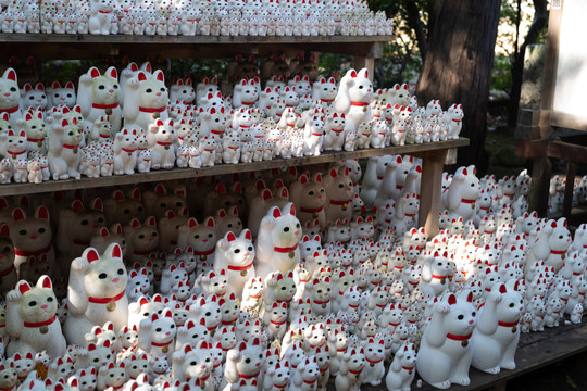 日本寺庙招财猫