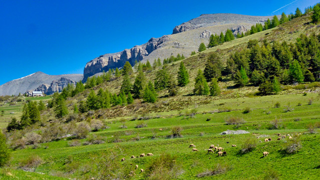 高山与山景