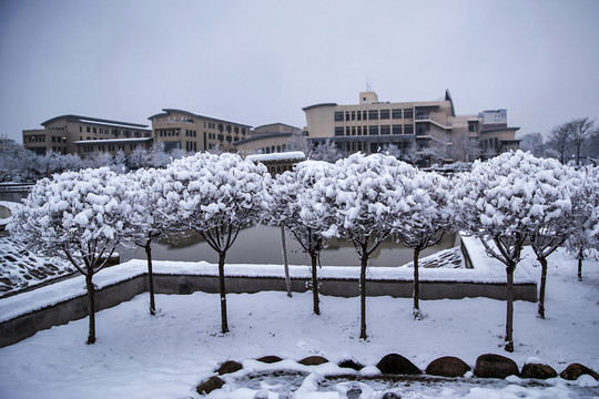 雪景