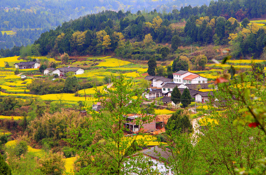 剑门山野春天