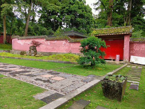 庭院草地绿化