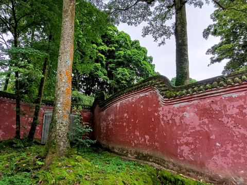 云峰寺院红墙绿树景观