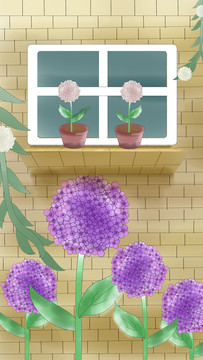 繡球花手機壁紙