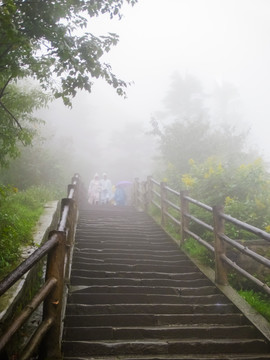 峨眉山台阶