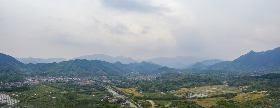 淡水鱼黑鱼孵化育苗