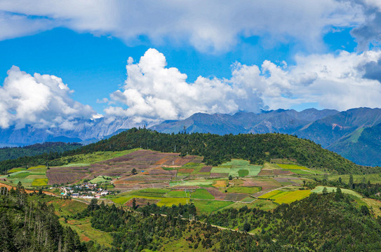 香格里拉