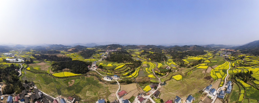 美丽乡村田园油菜花