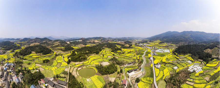 美丽乡村田园油菜花