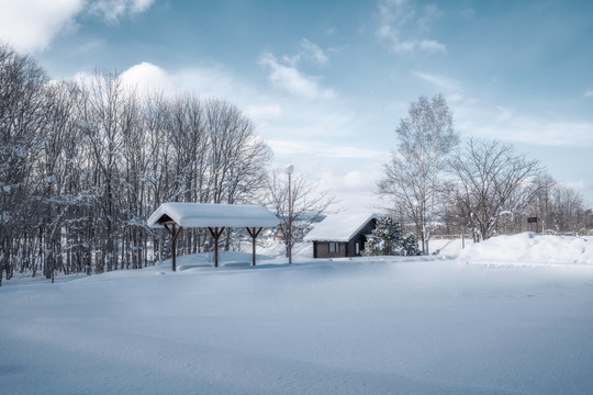 日本北海道美瑛雪中的小木屋