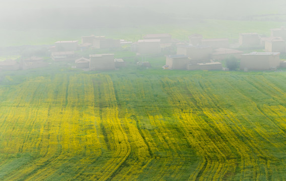 阿坝草原风光