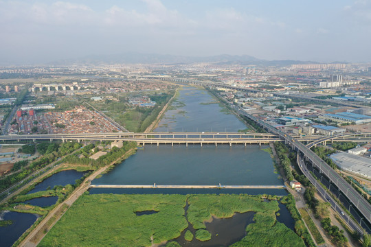 青岛城阳白沙河芦苇荡