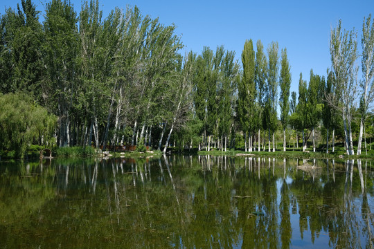 后滩湿地公园