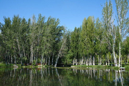 后滩湿地公园