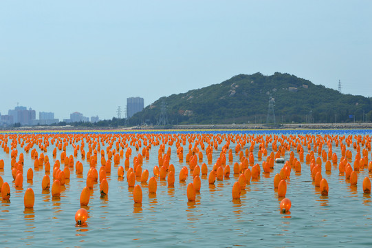 彩色浮标