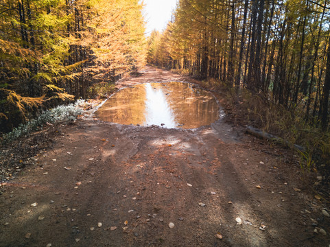 秋季森林道路积水