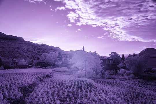 山村特写