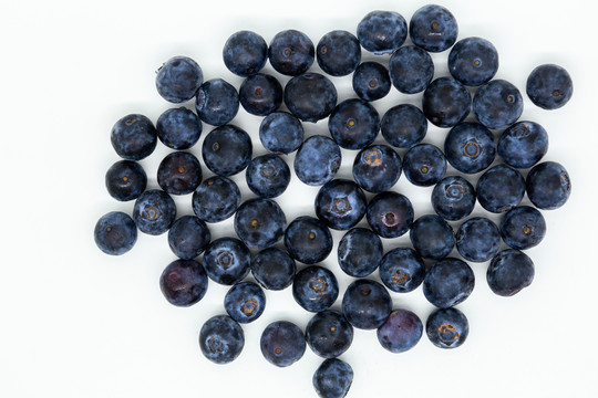 白色背景上的蓝莓