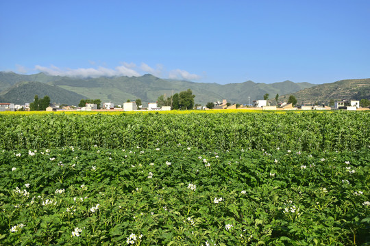 夏日乡村