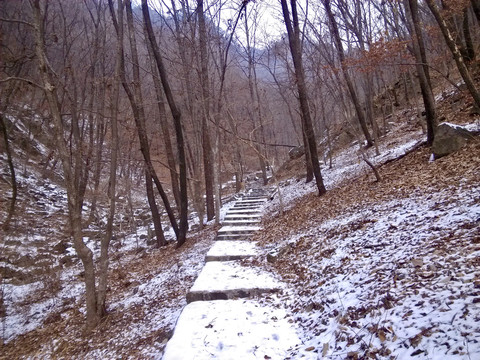 残雪山路归来晚