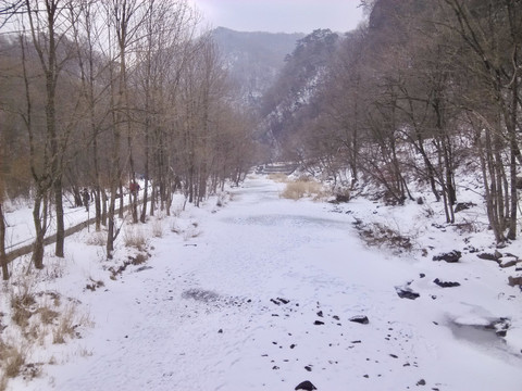 林下踏雪入深山