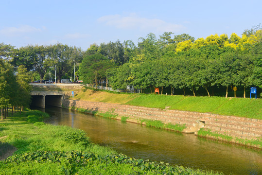 深圳中心公园福田河