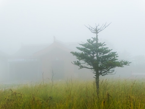 大雾寺院