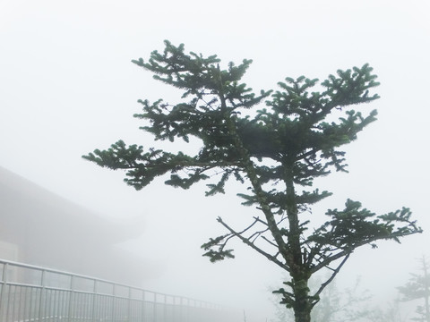 峨眉山迷雾寺院