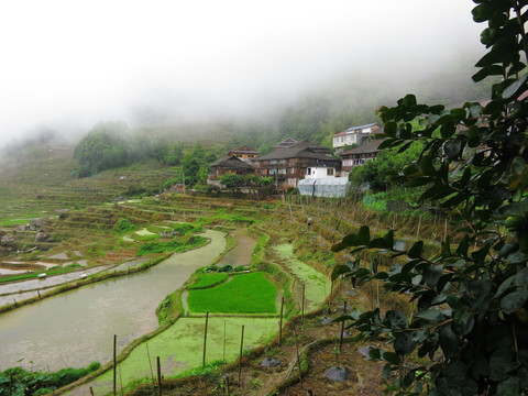 龙胜风光