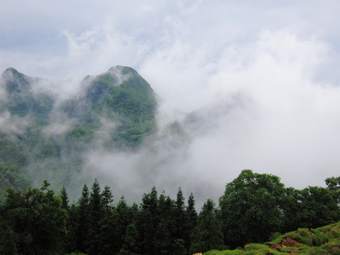 高山