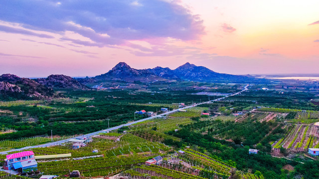 青岛大泽山葡萄园