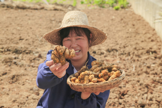 一篮新鲜沙姜