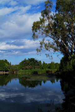 滇池湿地公园