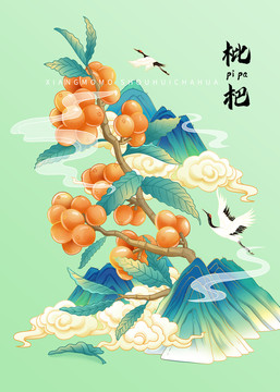 枇杷手繪插畫