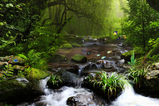 鱼缸背景