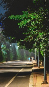 夜晚道路