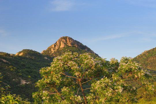 锥状山峰