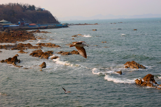 航拍海岛