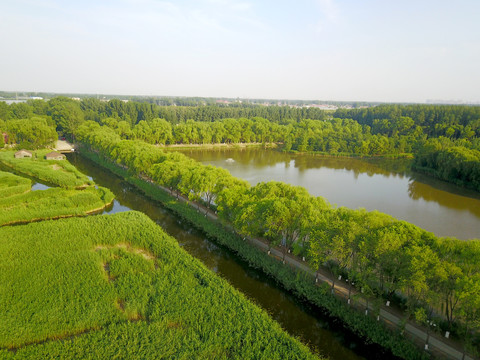 汉石桥湿地公园